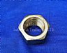 left rear wheel outer nut/31N-04055