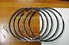 piston ring12469387_