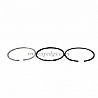 piston ring/A3900286