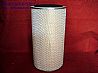 Air Filter AF25452/AF25453