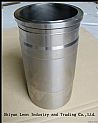 Renault Liner Cylinder 50103595615010359561