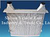 Next grille8406036 - C0100