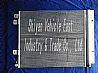 condensator mandrel assembly/8105010-C0100