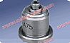 Delivery Value,D.value,Diesel Injection Parts