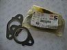 cummins ISDe parts-exhaust pipe gasket 28304442830444
