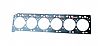 Cummins Cylinder Gasket4932210