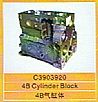 Cummins engine cylinder block /cylinder block C3903920C3903920