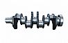 cummins 4BT parts crankshaft C3929036C3929036