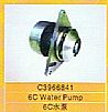 cummins water pump C3966841C3966841
