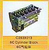 Cummins Cylinder Block C3939313C3939313