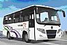 dongfeng bus 24~30 seats