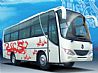 Dongfeng bus 24~47 seats