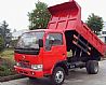 Dongfeng 3T dump truck