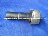 Truck blanking plug/24N-01068