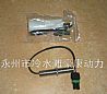 Suppy 3034572 K19 ,CUMMINS diesel engine parts,3034572