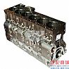 Cummins L Cylinder block C4946152