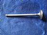 Intake Valve 6L 8.9C3970727