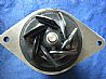engine parts D Series Water PumpC4891252