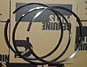 cummins3804500 set, Piston Ring，NTA855 three ring3804500