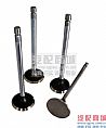 Cummins 6CT exhaust valve 38020853802085