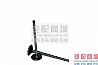 Cummins L  intake valve  39425883942588