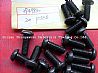 Cummins Screw 39498303949830