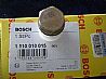 1110010015 Bosch relief valve