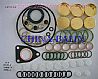 Gaskets 2 417 010 0102 417 010 010