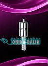 Engine Nozzle F 109 122 063 DLLA144S063