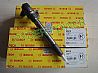 BOSCH original common rail injector 0 445 110 317 / 0445110317   DK4A-11120100445110317