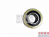 Renault idler D5010477345D5010477345