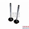 Cummins 6BT exhaust valve 3901607/38023563901607/3802356