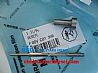 Common Rail Injector Valve F00VC01359 New Made in China