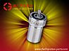 Toberas Diesel DLLA142P87 DLLA150P77DLLA142P87