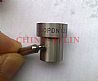 engine nozzles 105007-1223, DN0PDN122105007-1223