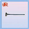 Volvo 20441486 exhaust valve TAD1641GE