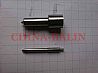 injector Nozzle 172.1112110-11.02, 172-11.02172.1112110-11.02