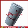 cummins engine oil filters 1012N-0101012N-010