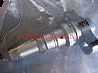 Plunger assy 2 418 455 727 for BOSCH2 418 455 727