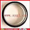 Cummins Engine Parts Crankshaft Oil Seal 3934486 3933262