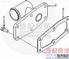 NT855,Cummins Gasket, Cover Plate	4912995