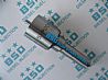 Nozzle DSLA153P009,F 019 123 009,F019123009 Brand NewF019123009