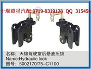 Day after jin cab suspension 5002170 - C1100 hydraulic lock