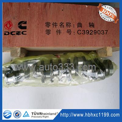 6BT Engine Crankshaft 3929037 for Cummins Crankshaft