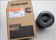 NPiston, Engine 2881748/5258754