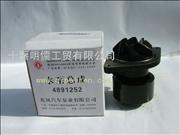 NC4891252ISDe dongfeng cummins engine water pump assembly
