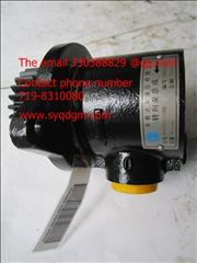 Renault vane pump   3406005-T0100