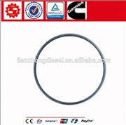 Cummins Diesel Engine 4BT Flywheel Ring 39017743901774
