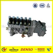 BYC Diesel Injection Pump with ISO Certificate 4941011 4941011