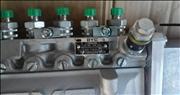 NPump, Fuel Injection 4988395